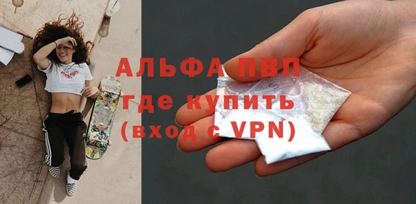 крисы Абаза