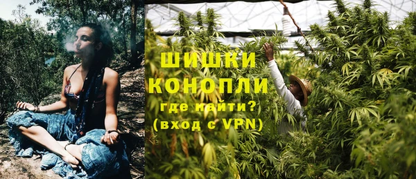 крисы Абаза