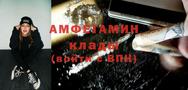 шишки Абинск