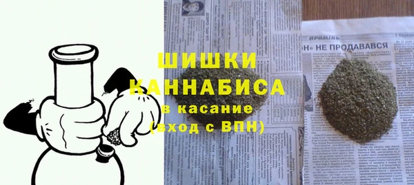 крисы Абаза