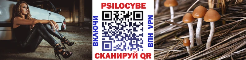 цены   Аксай  Галлюциногенные грибы прущие грибы 